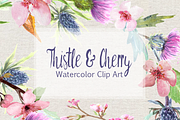 Watercolor Thistle & Cherry Clip Art