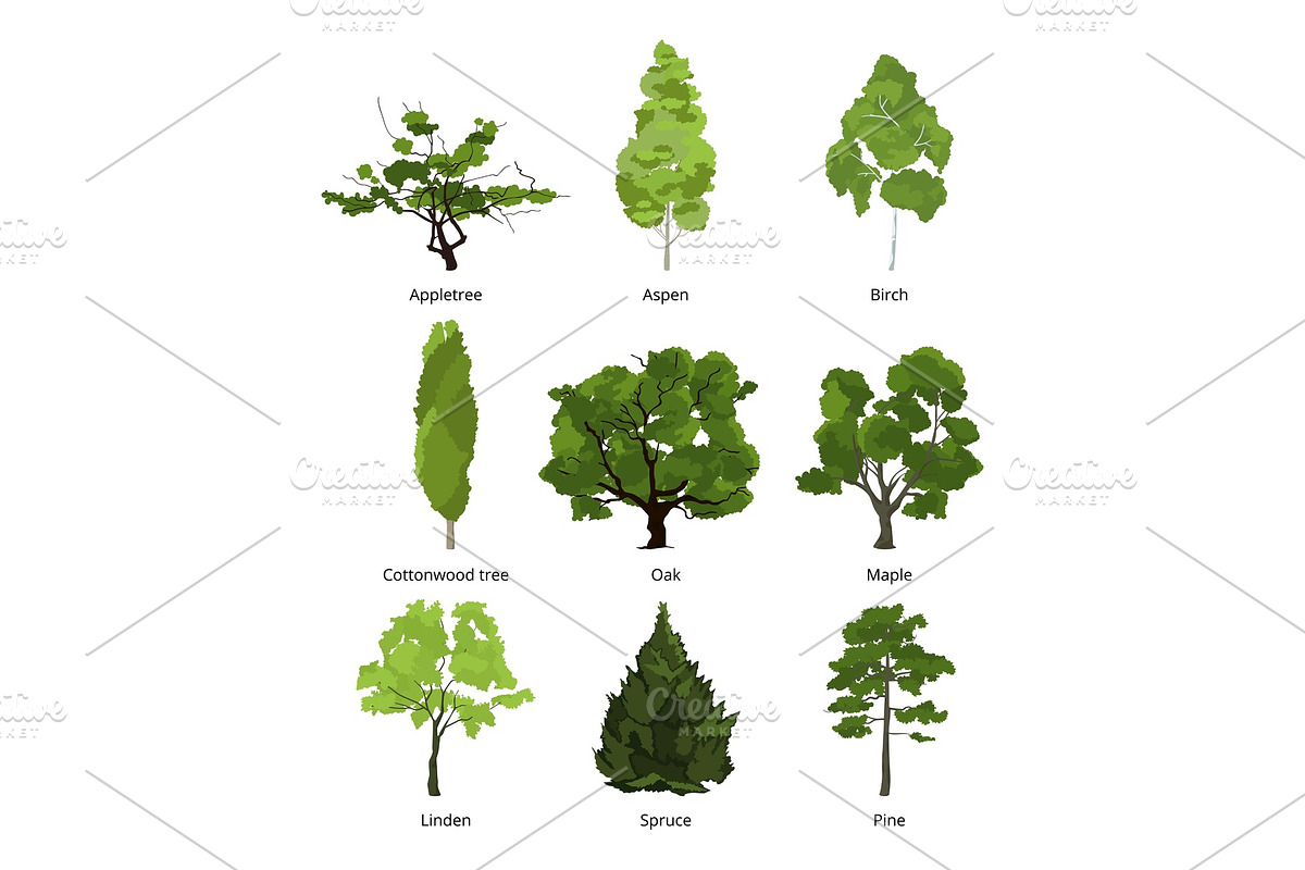 Vector set of green garden trees in Graphics - product preview 8