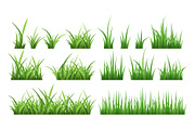 Nature illustrations of green field