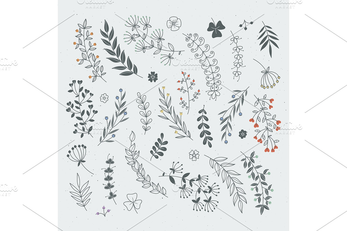 Decorative floral elements for in Graphics - product preview 8