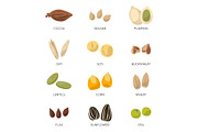 Illustration of different seeds