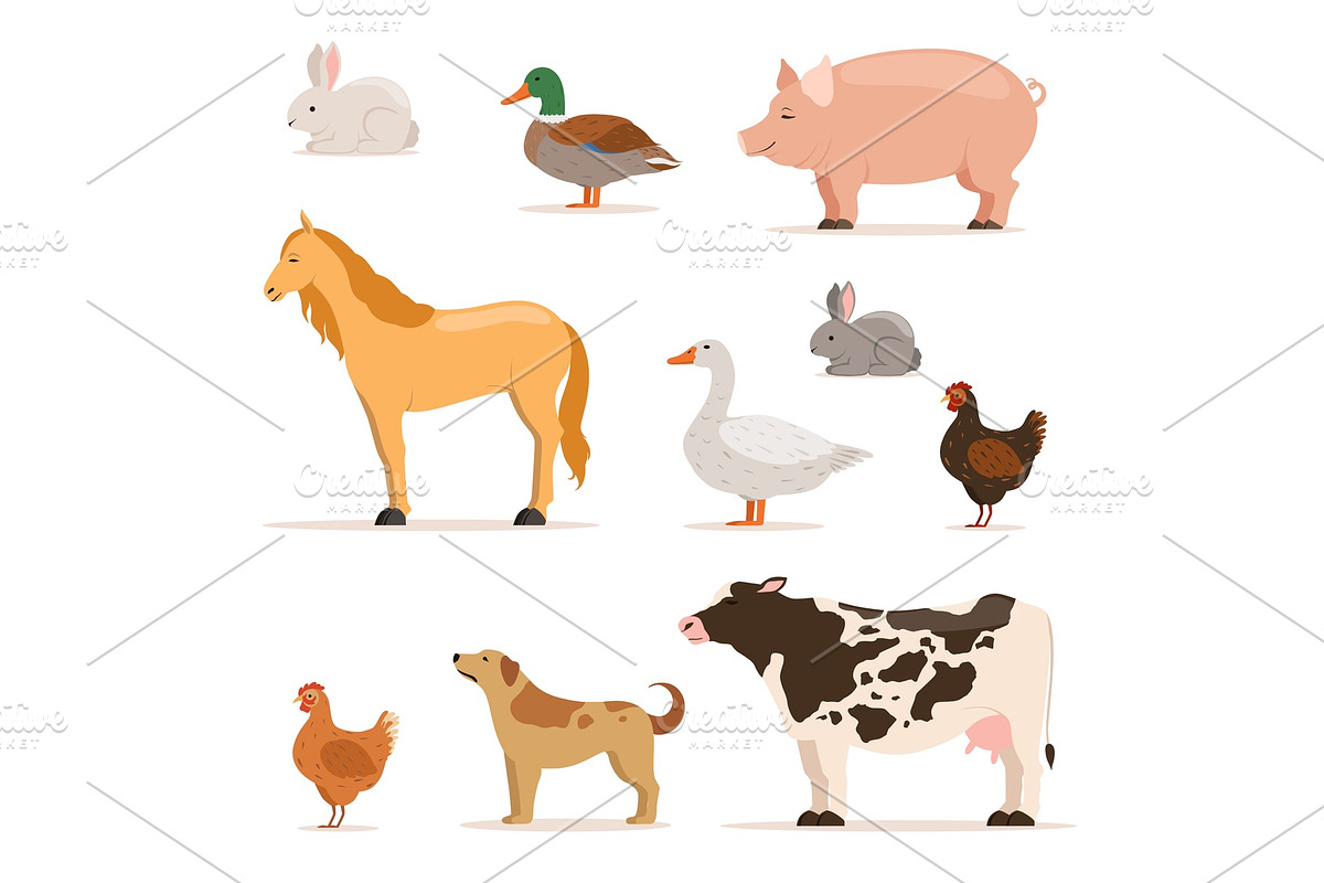 Different domestic animals on farm in Graphics - product preview 8