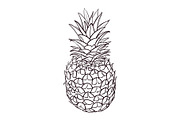 Hand drawn illustration of pineapple