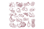 Vector sketch fruits for package