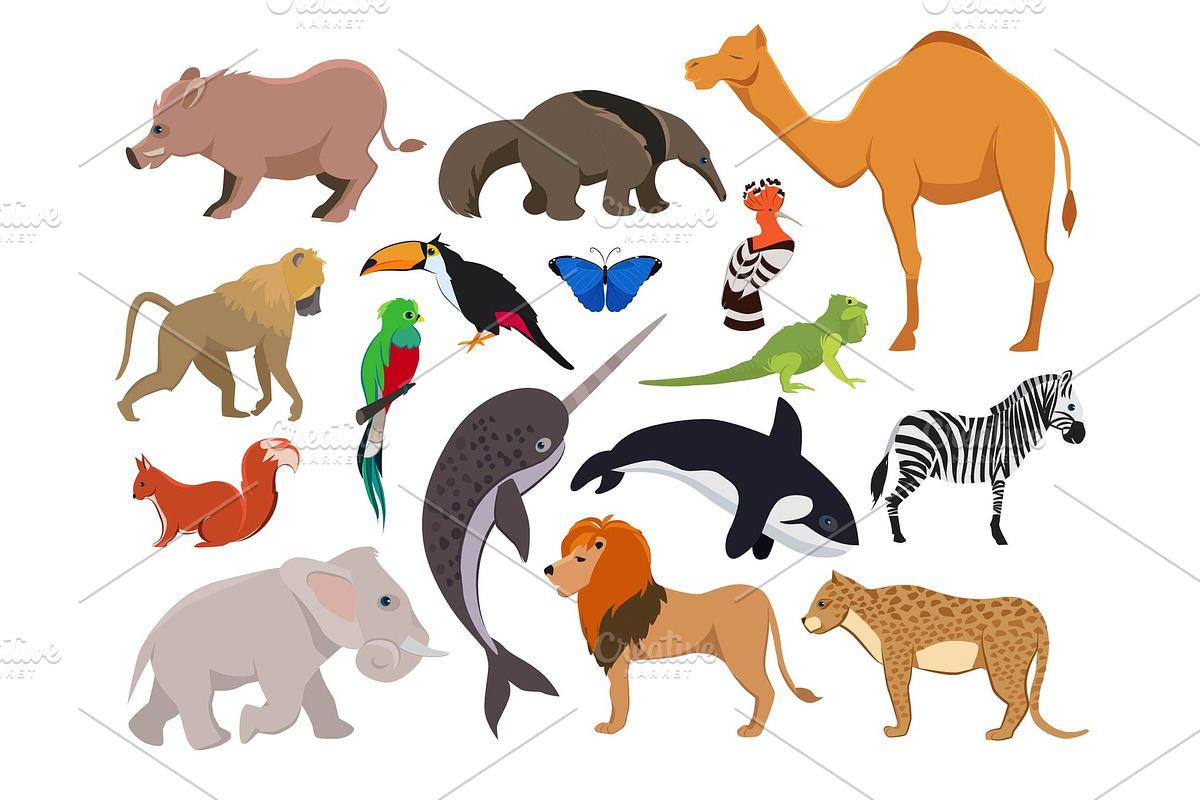 Zoo wild animals. Cute vector in Graphics - product preview 8