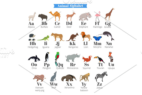 English vector alphabet for kids