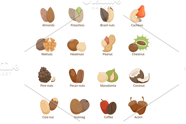 Vector illustration of different