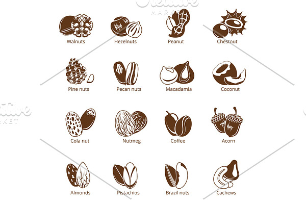 Monochrome illustrations of nuts