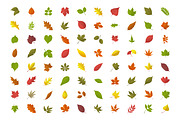 80 Autumn Leaves Icons