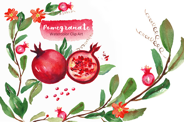 Pomegranate. Watercolor Clip art