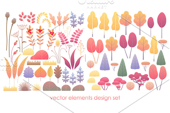 Fall Foliage Decoration in Illustrations - product preview 5