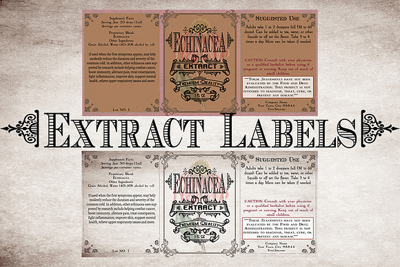 Echinacea Vintage Herb Labels in Stationery Templates - product preview 2