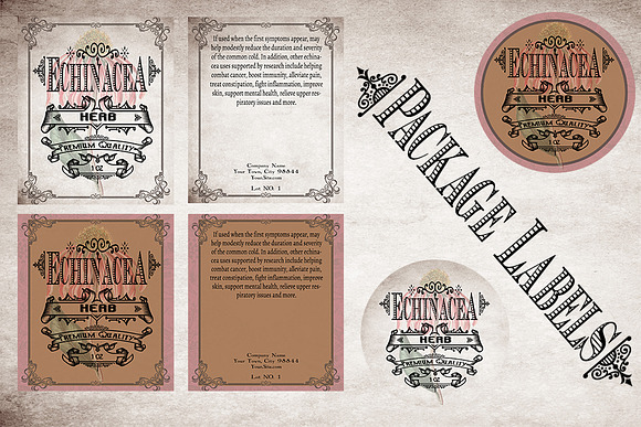 Echinacea Vintage Herb Labels in Stationery Templates - product preview 3
