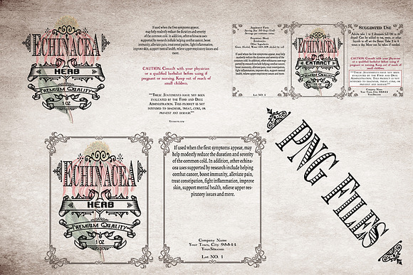 Echinacea Vintage Herb Labels in Stationery Templates - product preview 4