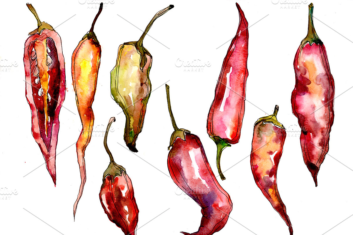 Red pepper vegetables PNG watercolor in Illustrations - product preview 8