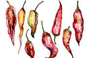 Red pepper vegetables PNG watercolor