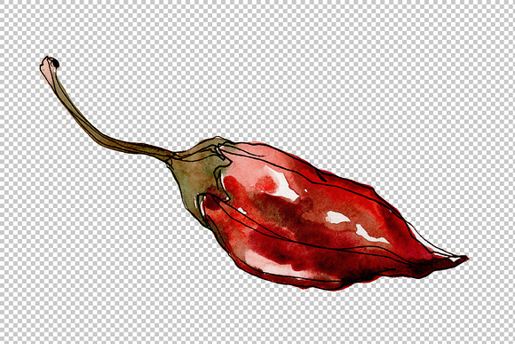 Red pepper vegetables PNG watercolor in Illustrations - product preview 4