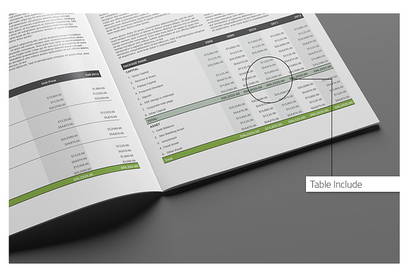 Info Annual Report in Brochure Templates - product preview 4