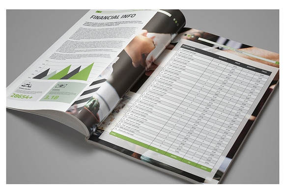 Info Annual Report in Brochure Templates - product preview 16