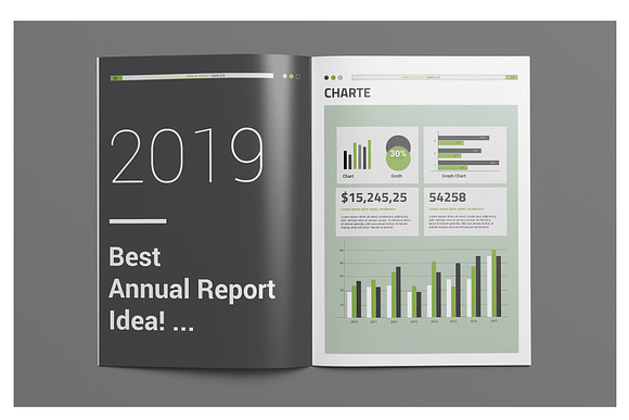 Info Annual Report in Brochure Templates - product preview 18