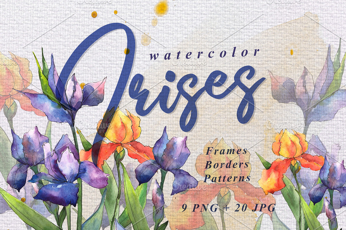 Orange and purple irises PNG set in Illustrations - product preview 8