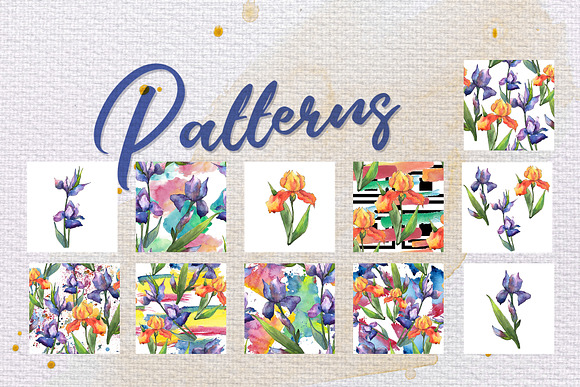 Orange and purple irises PNG set in Illustrations - product preview 5