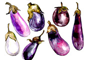 Purple eggplant vegetables PNG set