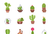 Different types of cactus icons set