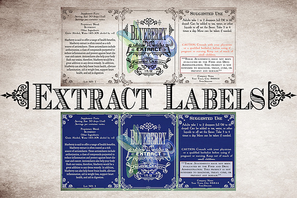 Blueberry Vintage Labels in Stationery Templates - product preview 2