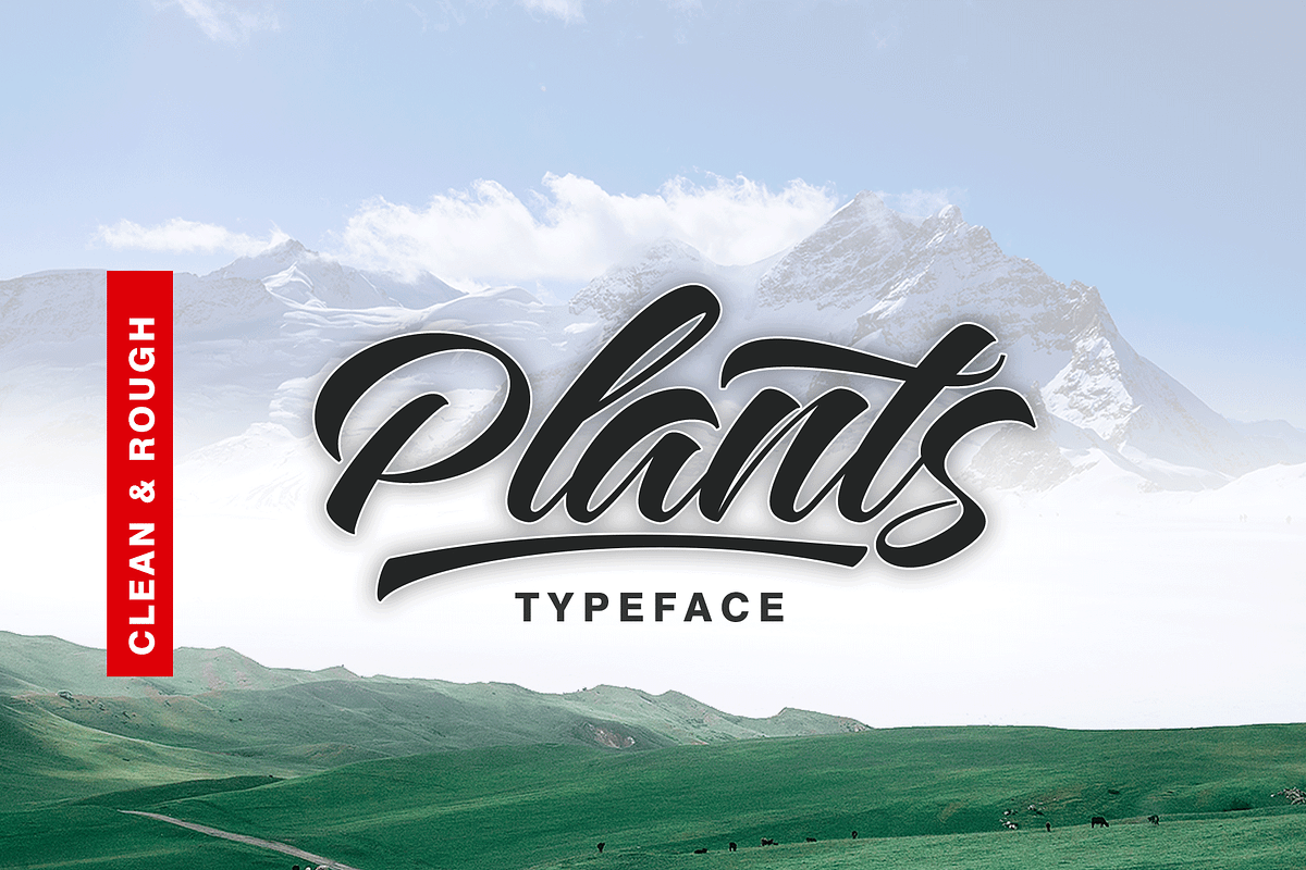 Plants Clean & Rough in Script Fonts - product preview 8