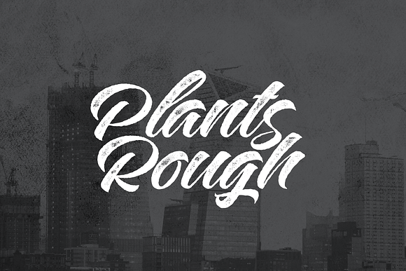 Plants Clean & Rough in Script Fonts - product preview 4