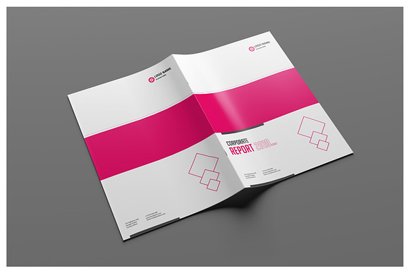 Pro Corporate Report in Brochure Templates - product preview 1