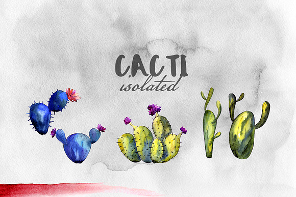 Cacti watercolor PNG set in Illustrations - product preview 4