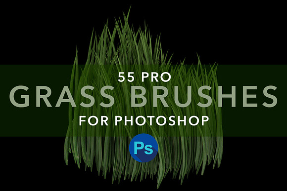 MS Grass Brushes in Add-Ons - product preview 4