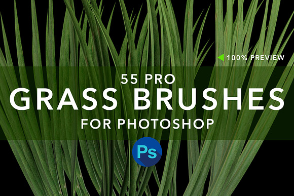 MS Grass Brushes in Add-Ons - product preview 5
