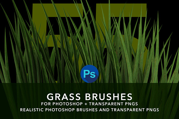 MS Grass Brushes in Add-Ons - product preview 9