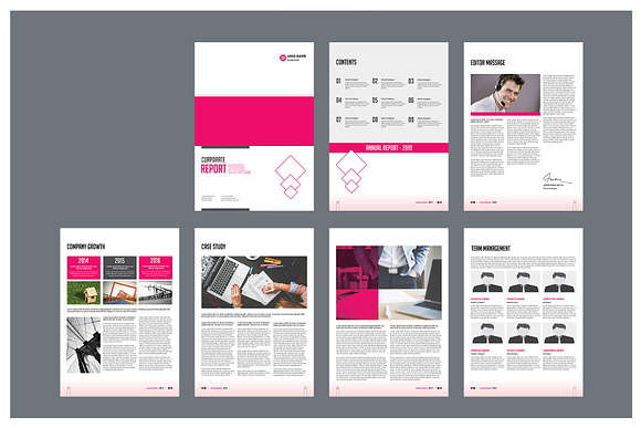 Pro Corporate Report in Brochure Templates - product preview 18
