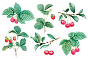 Watercolor berries kit