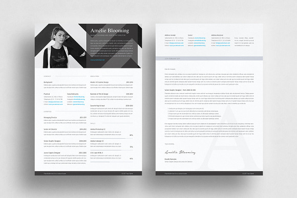 Auckland Resume & Letter in Resume Templates - product preview 1