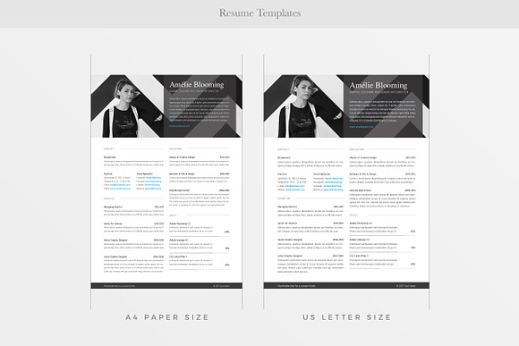 Auckland Resume & Letter in Resume Templates - product preview 3