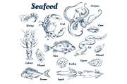 Seafood Poster and Species Vector