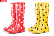 Set of Pair rain boots