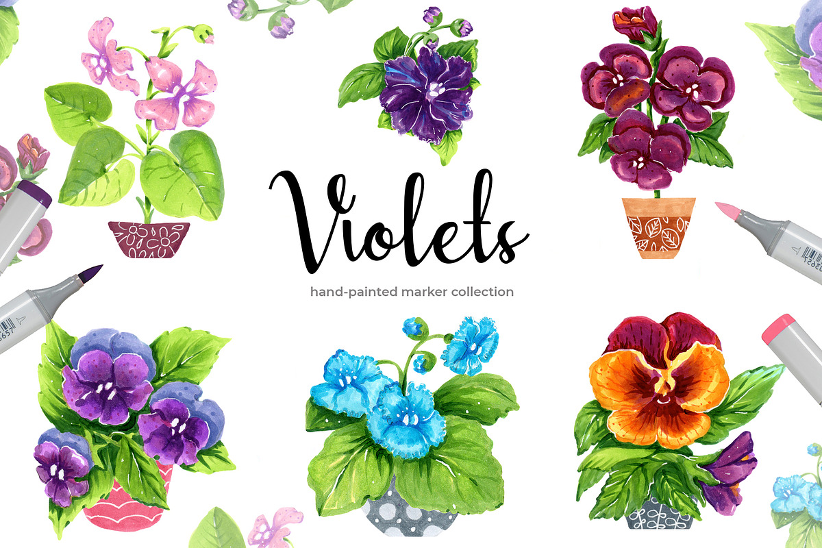 Violets in Illustrations - product preview 8