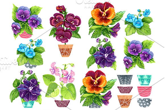 Violets in Illustrations - product preview 1