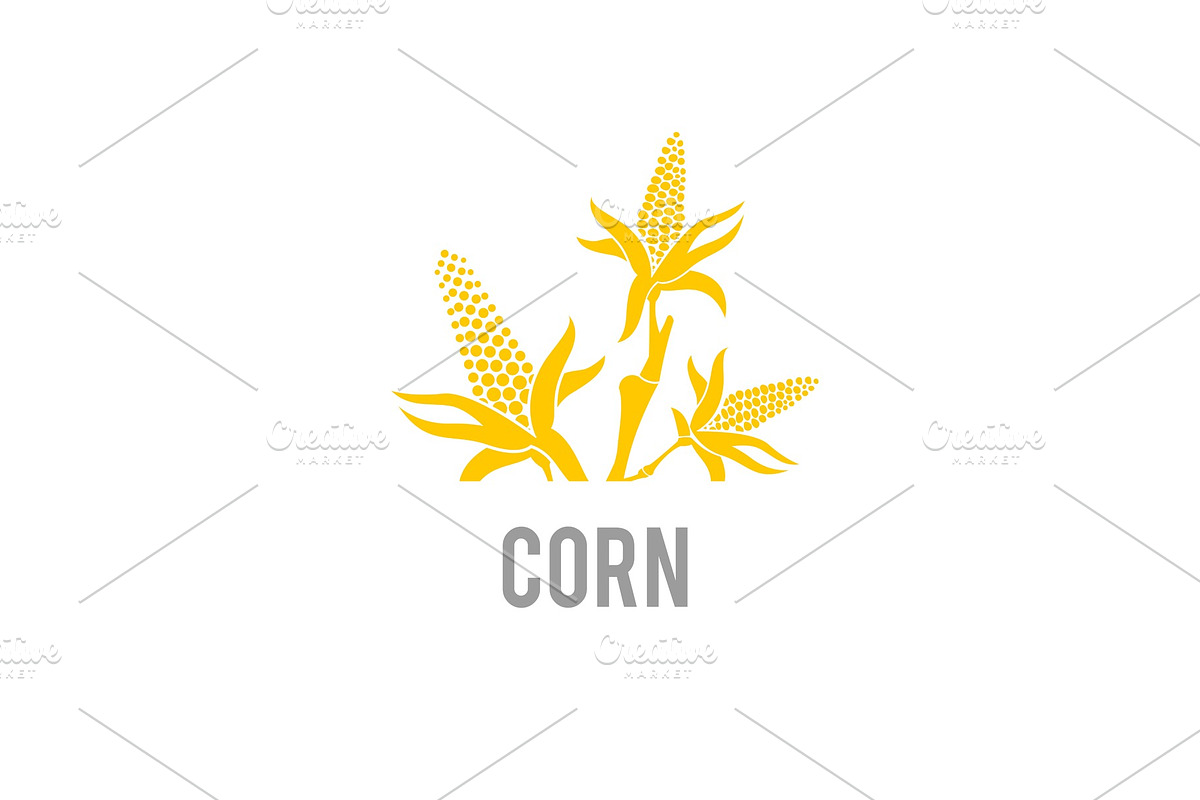 Corn icon. Vector illustration in Illustrations - product preview 8