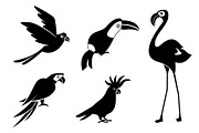 Silhouettes of birds cockatoos