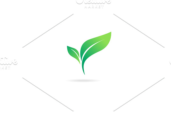 Green abstract leaf icon natural set