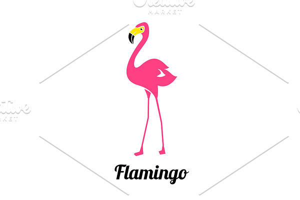 Pink flamingo on a white background