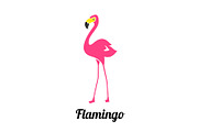 Pink flamingo on a white background