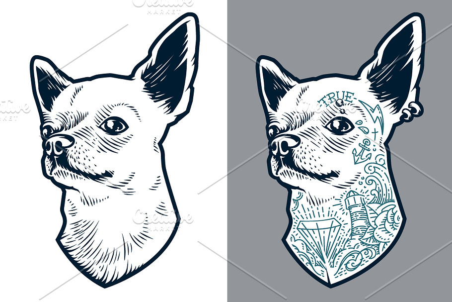 Tattooed Chihuahua | Vector Art